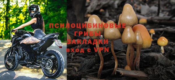 синтетический гашиш Алексин