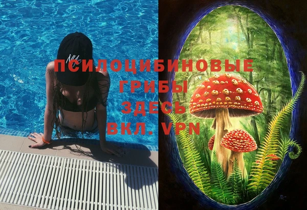 СК Абдулино